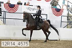 12r14_4575 proof