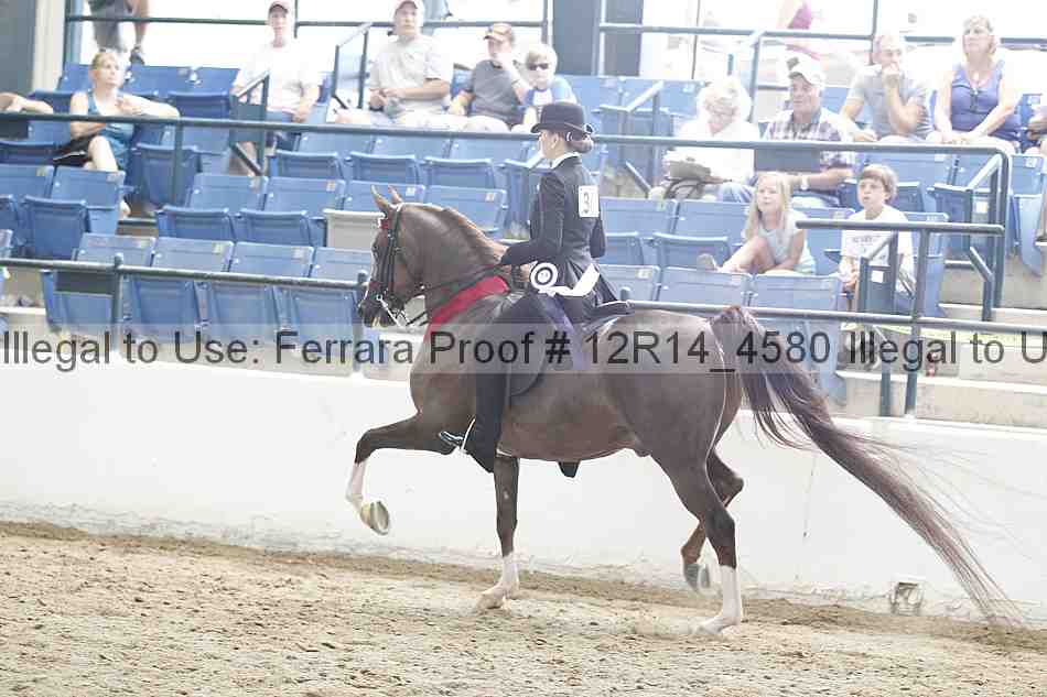 Proof 12r14_4580