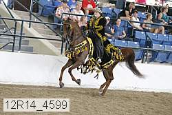12r14_4599 proof
