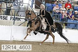 12r14_4603 proof