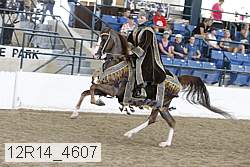 12r14_4607 proof