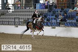12r14_4615 proof