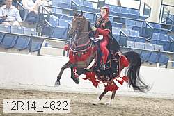 12r14_4632 proof