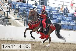 12r14_4633 proof