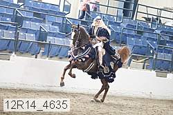 12r14_4635 proof