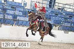 12r14_4641 proof