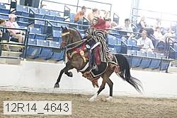 12r14_4643 proof