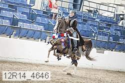 12r14_4646 proof