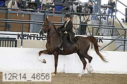 12r14_4656 proof