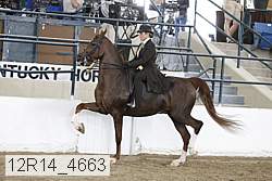 12r14_4663 proof