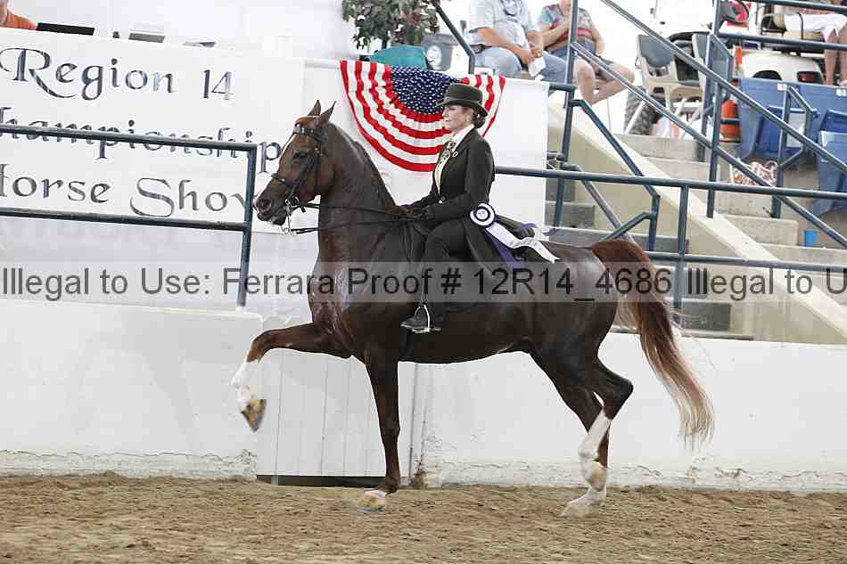 Proof 12r14_4686