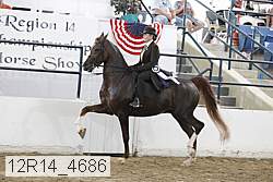 12r14_4686 proof