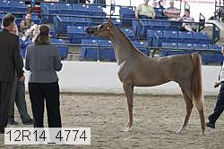 12r14_4774 proof