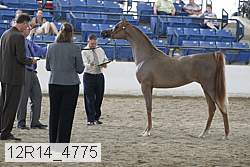 12r14_4775 proof