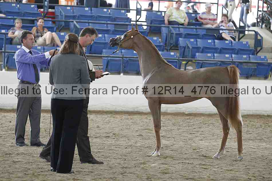 Proof 12r14_4776