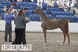 12r14_4776 proof
