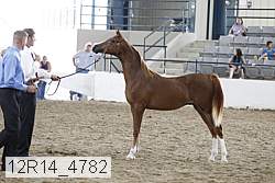 12r14_4782 proof