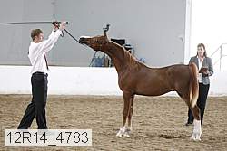12r14_4783 proof