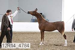 12r14_4784 proof
