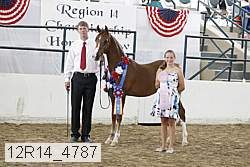 12r14_4787 proof