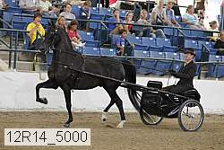 12r14_5000 proof