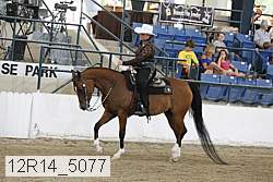 12r14_5077 proof