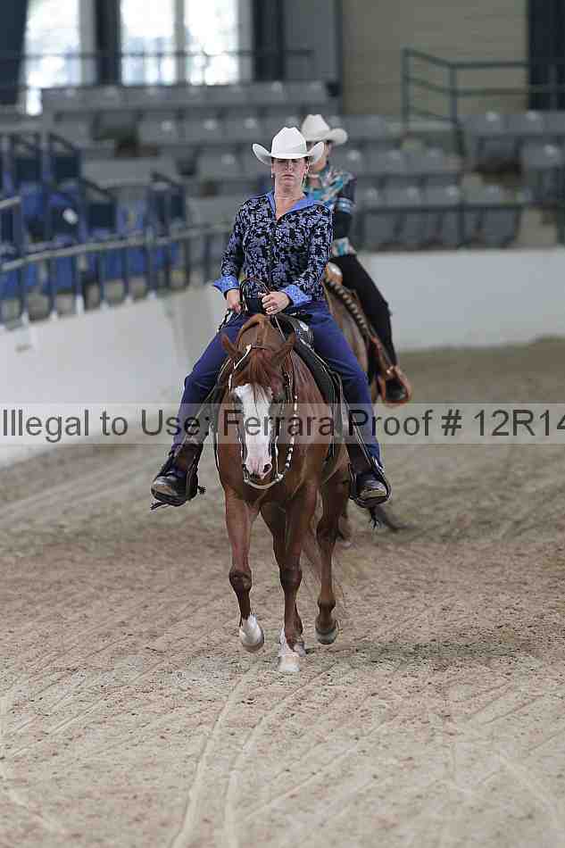 Proof 12r14_5083