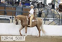 12r14_5087 proof