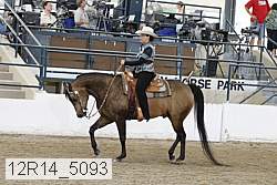 12r14_5093 proof
