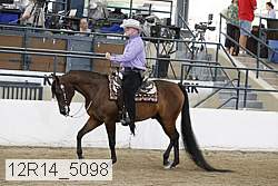 12r14_5098 proof