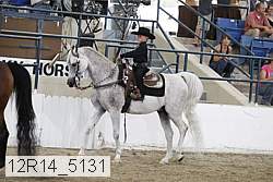 12r14_5131 proof