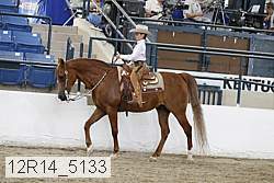 12r14_5133 proof