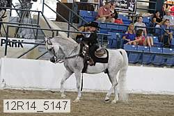 12r14_5147 proof