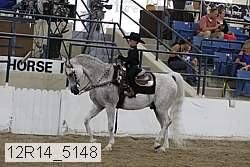 12r14_5148 proof