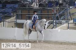 12r14_5154 proof