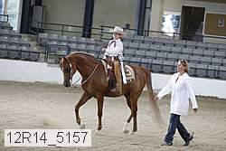 12r14_5157 proof