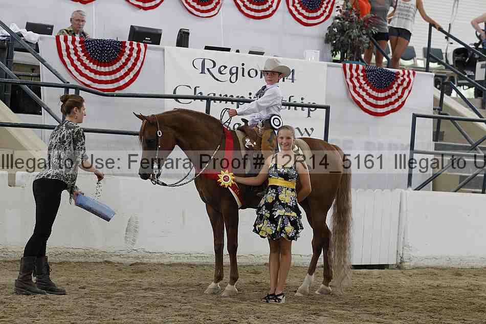 Proof 12r14_5161