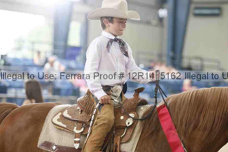 Proof 12r14_5162