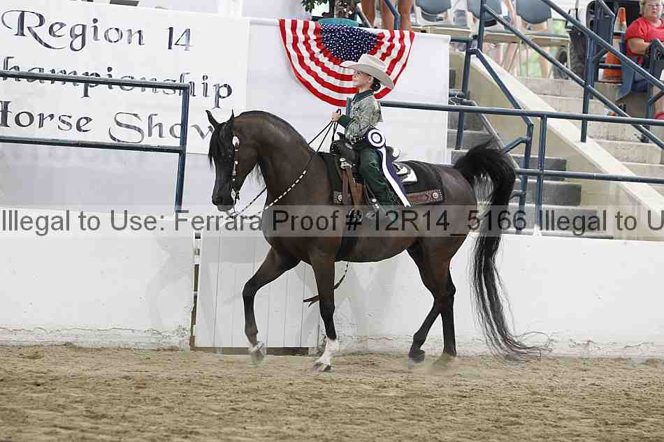 Proof 12r14_5166