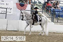 12r14_5167 proof