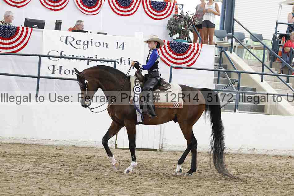 Proof 12r14_5172