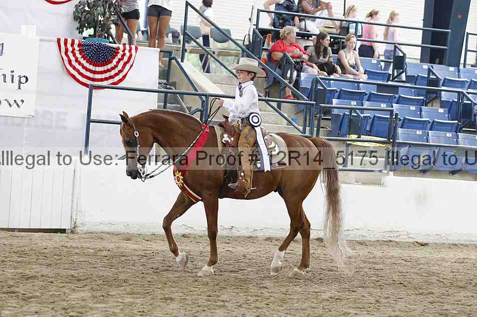 Proof 12r14_5175