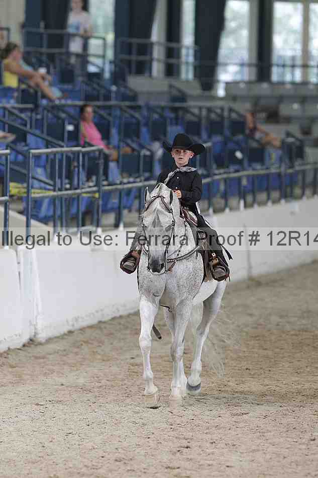 Proof 12r14_5176