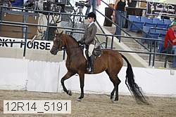 12r14_5191 proof