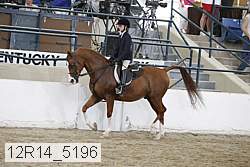 12r14_5196 proof
