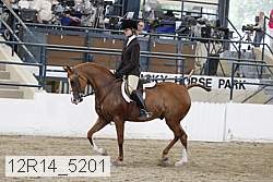 12r14_5201 proof
