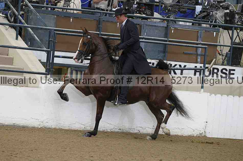 Proof 12r14_5273
