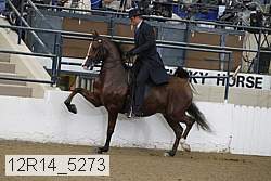 12r14_5273 proof