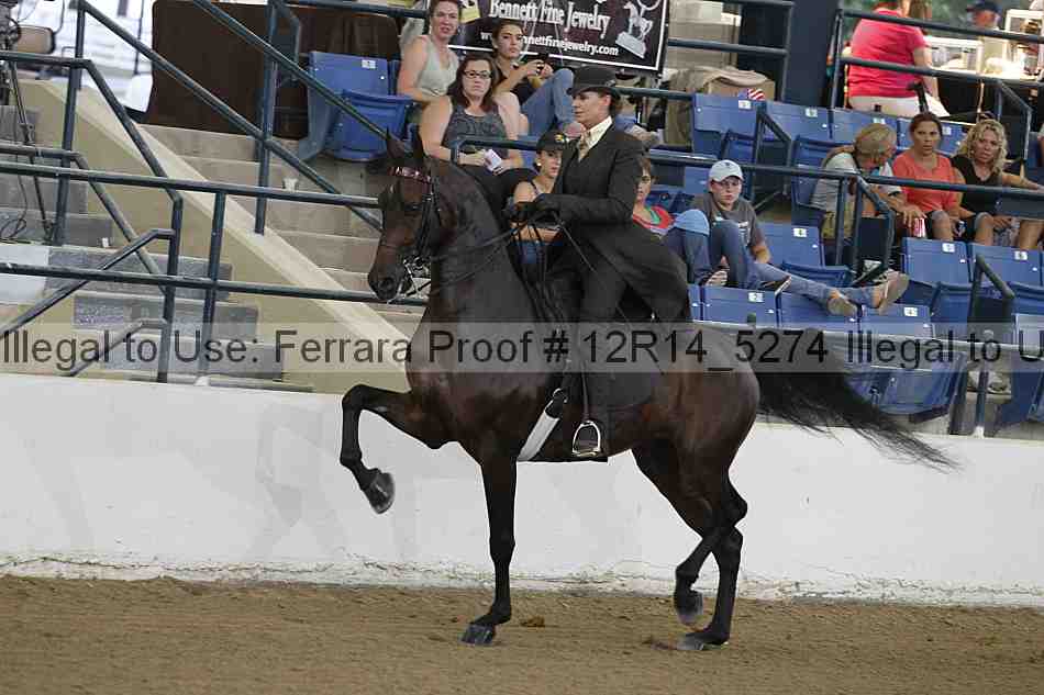 Proof 12r14_5274