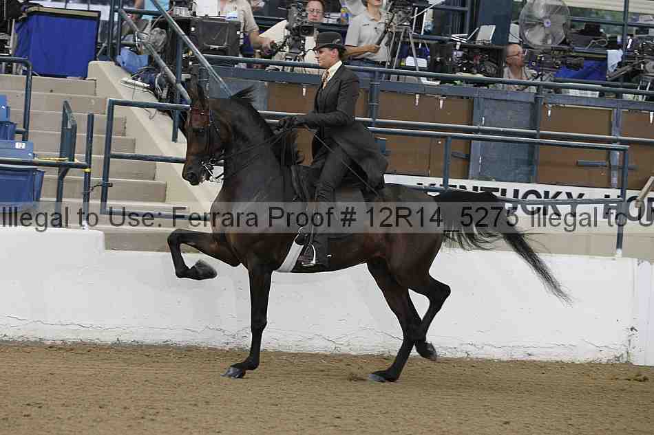 Proof 12r14_5275